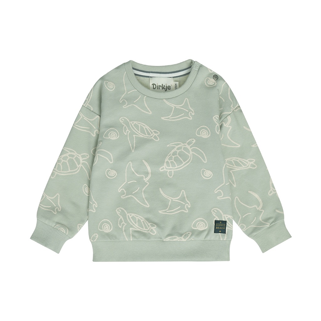 Dirkje | Sweater Boys Santa Monica Soft Sage 