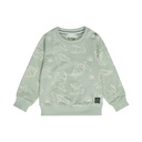 Dirkje | Sweater Boys Santa Monica Soft Sage 