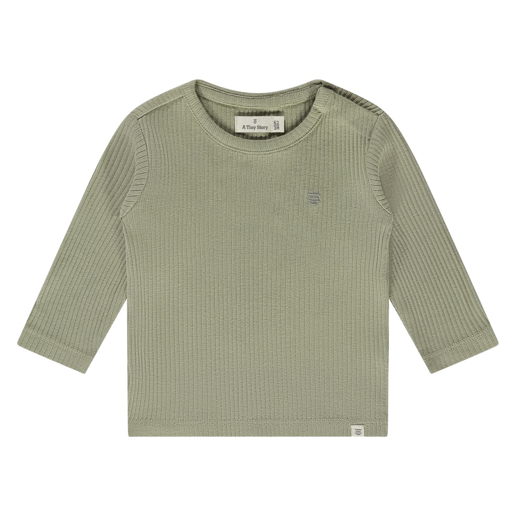 A Tiny Story | T-shirt Uni Longsleeve Moss