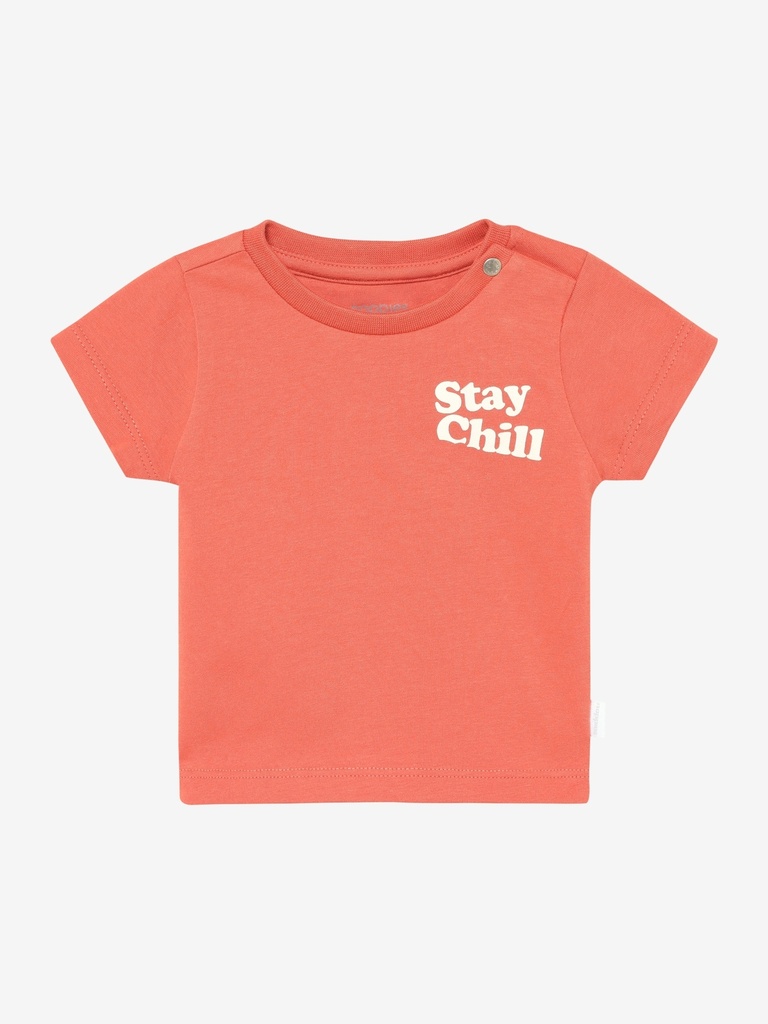 Noppies | T-shirt Boys Gray Blue