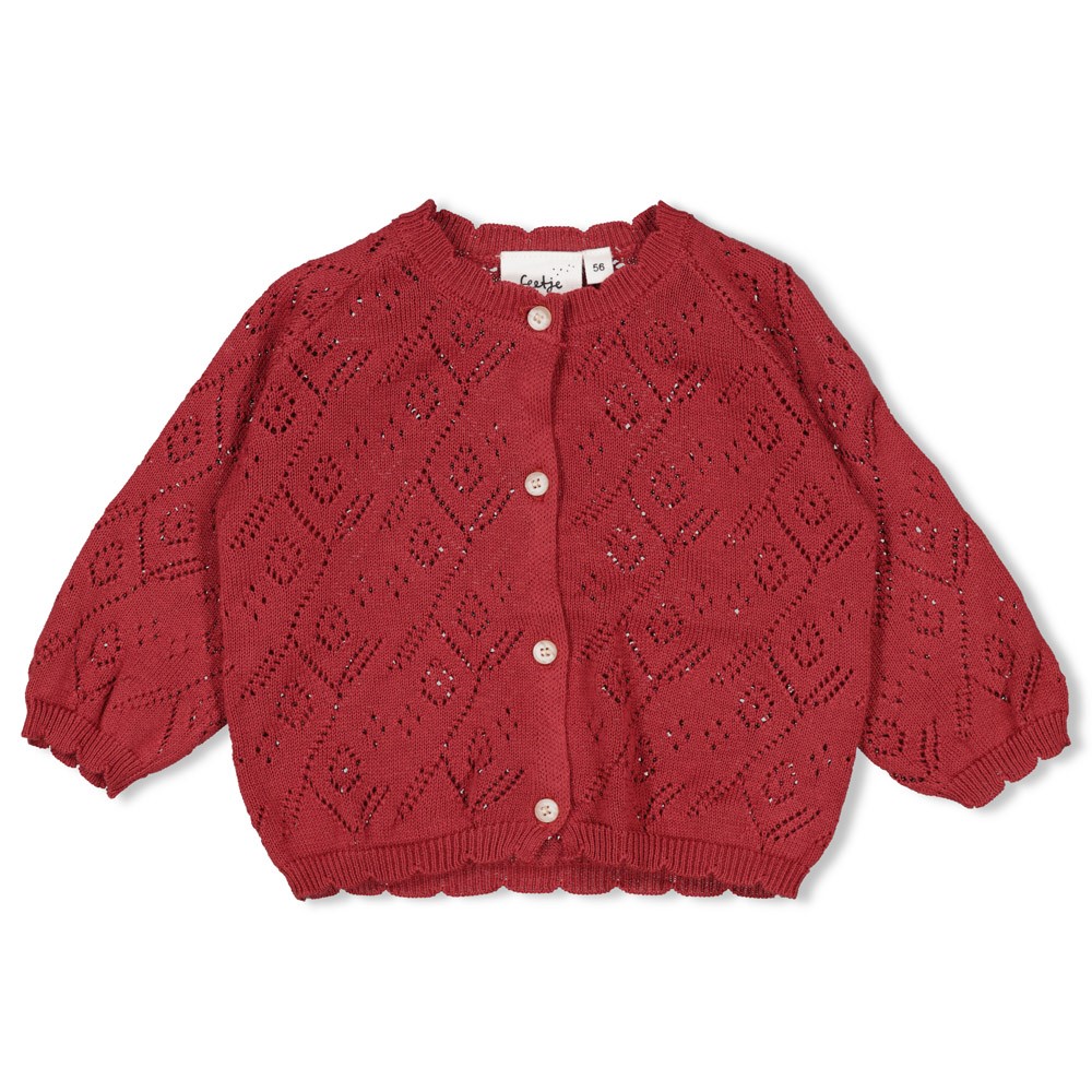 Feetje | Vest Girls Ladybug Berry