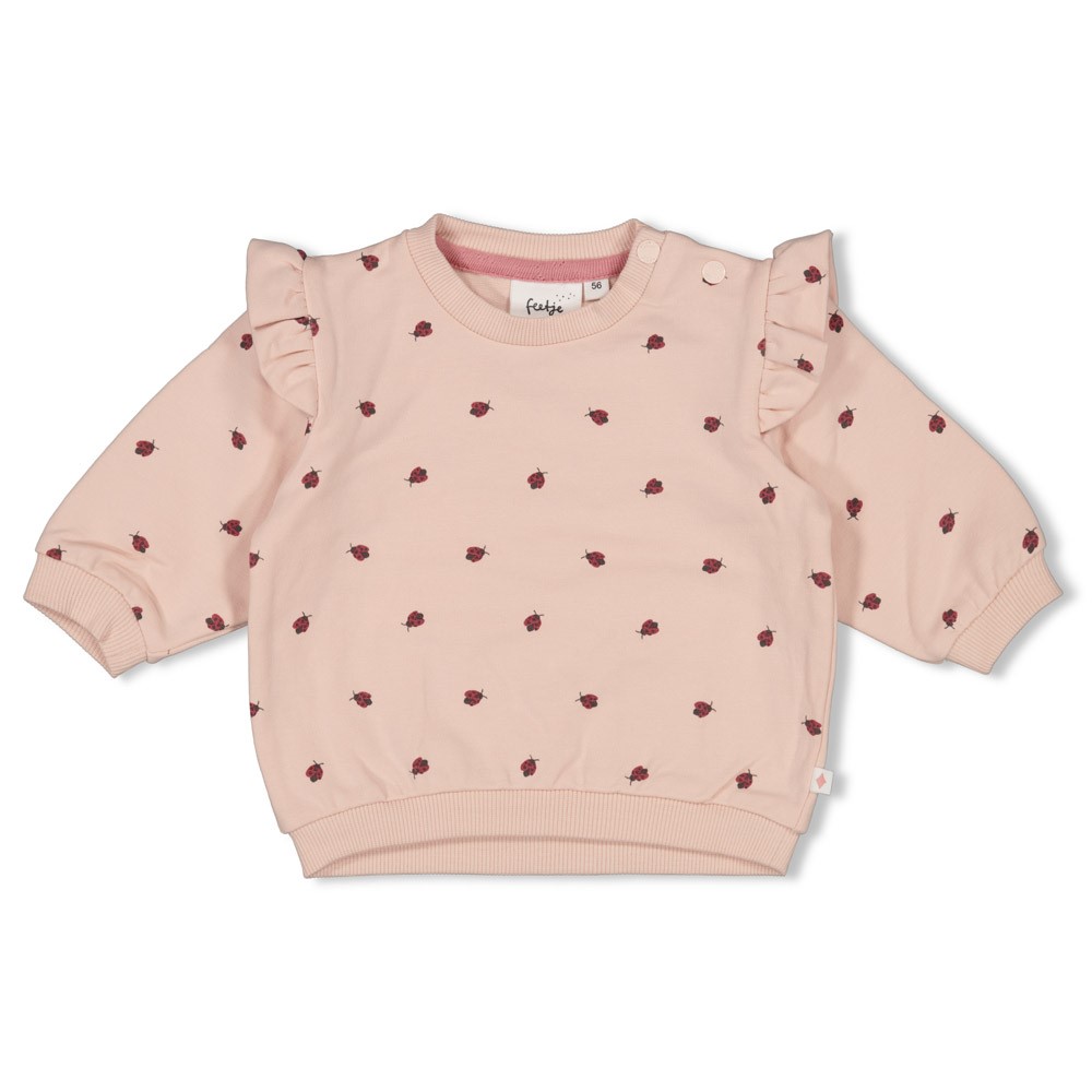 Feetje | Sweater Girls Ladybug Light Pink