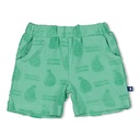 Feetje | Short Boys Seaside Happiness Green