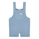 Little Dutch | Salopette Boys Forest Friends Stone Blue