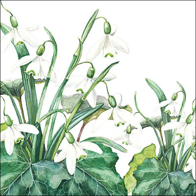 Ambiente | Servetten Snowdrops White 3-laags 100%FSC 33x33cm 20-pack