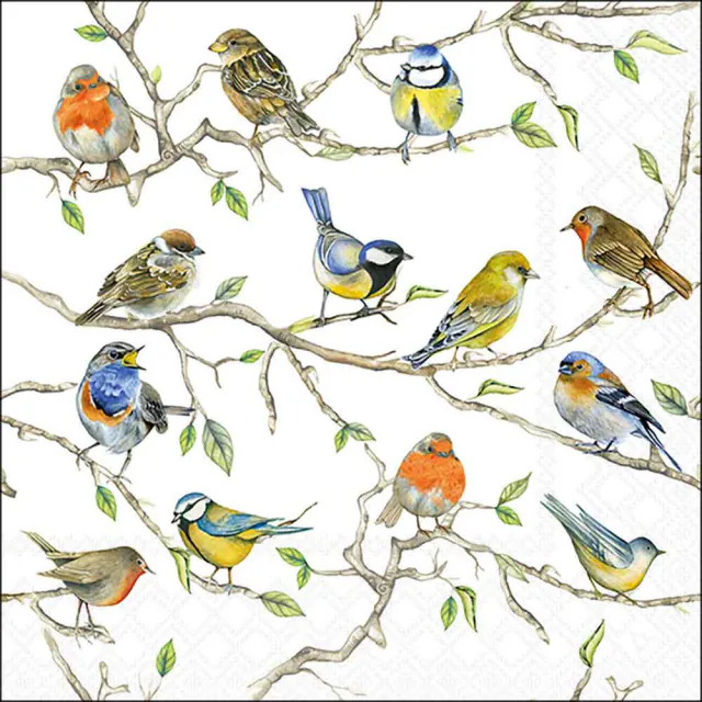 Ambiente | Servetten Birds Meeting 3-laags 100%FSC 33x33cm 20-pack