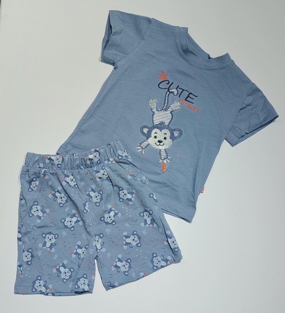 Picco Mini | Pyjama 2-delig Aap Blauw 
