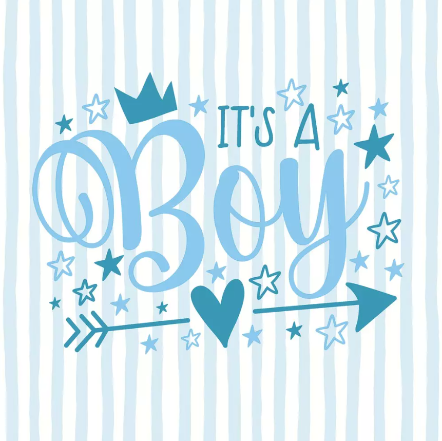 Duni | Servetten Boy 3-laags 33x33cm 20-pack