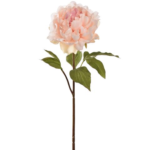 Jasaco | Sierbloem Open Peony Cream Pink 57cm 
