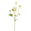 Jasaco | Sierbloem Mini Sunflower Cream 60cm