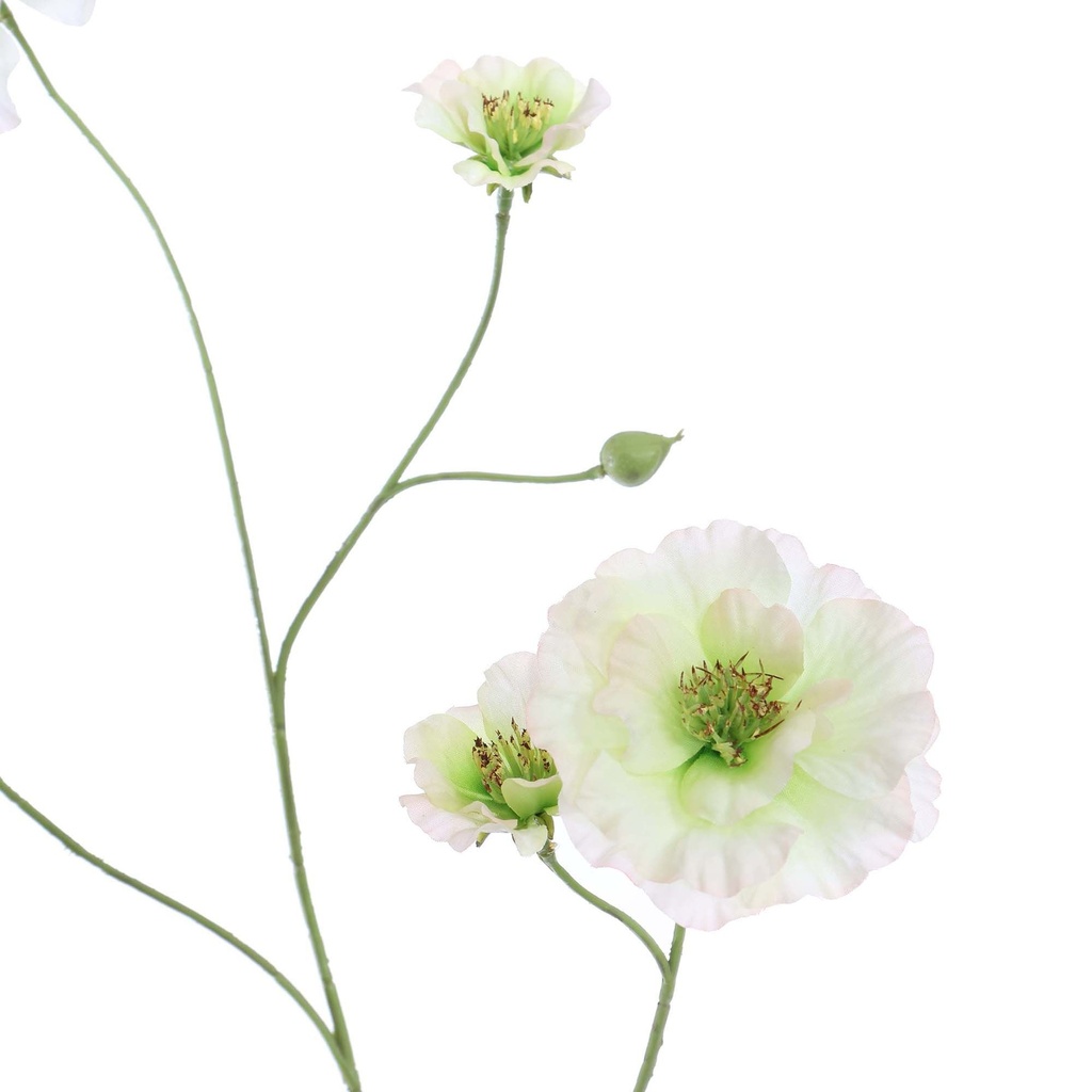Jasaco | Sierbloem Geum Spray Cream 91cm