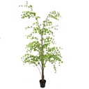 Jasaco | Sierplant Japanse Zen Tree Green 250cm