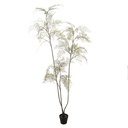 Jasaco | Sierplant Maiden Hair Plant Green 200cm