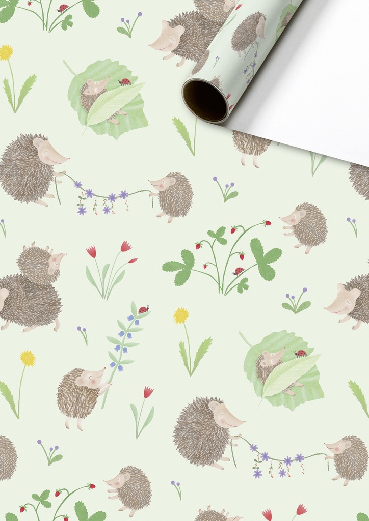 Stewo | Geschenkpapier Rol Riccio Mint 70x200