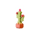 Plus-Plus | Educatief Speelgoed Plant Packs Cactus