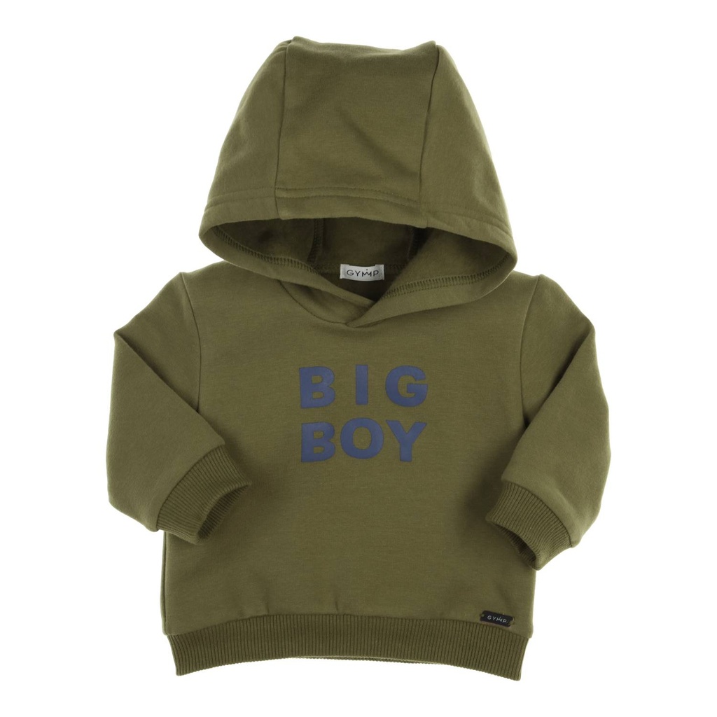 Gymp | Sweater Boys Carbondoux Green