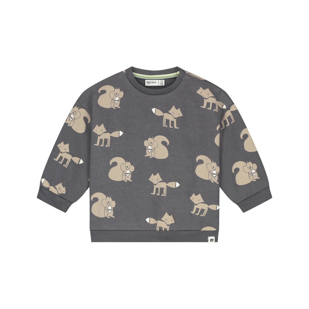 Babyface | Sweater Boys Antra