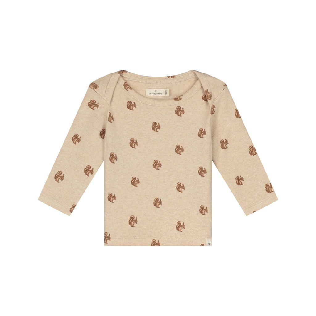 A Tiny Story | T-shirt Boys Longsleeve Beige Melange