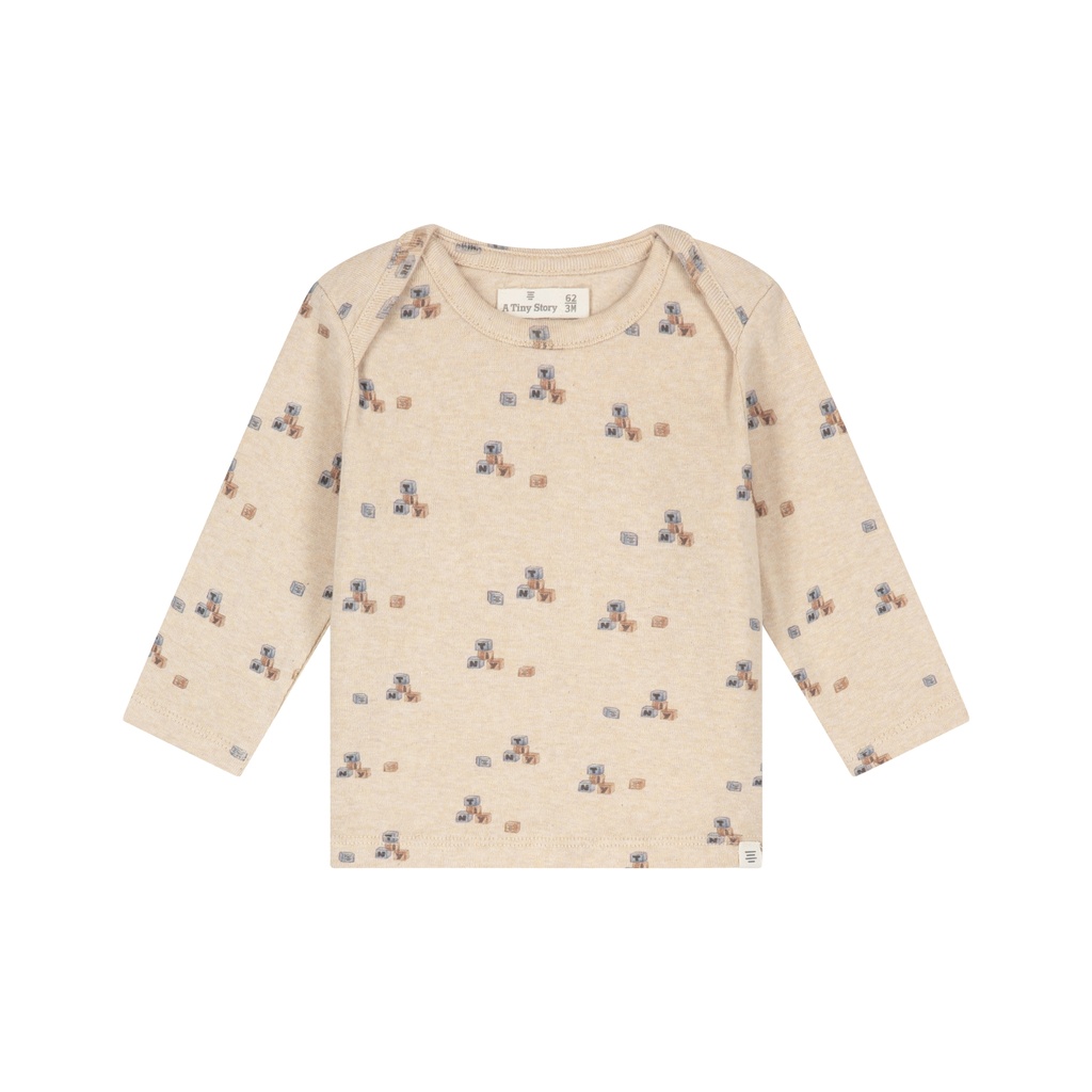 A Tiny Story | T-shirt Boys Longsleeve Beige Melange