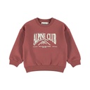 Dirkje | Sweater Boys Alphine Club Roan Rouge