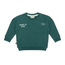 Frogs & Dogs | Sweater Boys Jasper