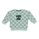 Frogs & Dogs | Sweater Boys Pastel Blue