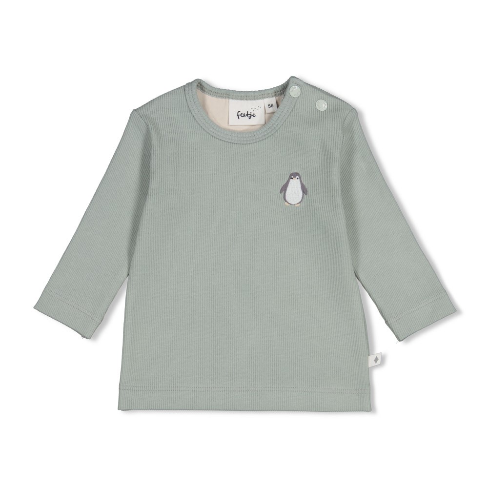 Feetje | T-shirt Uni Penguin Cuddles Longsleeve Zeegroen