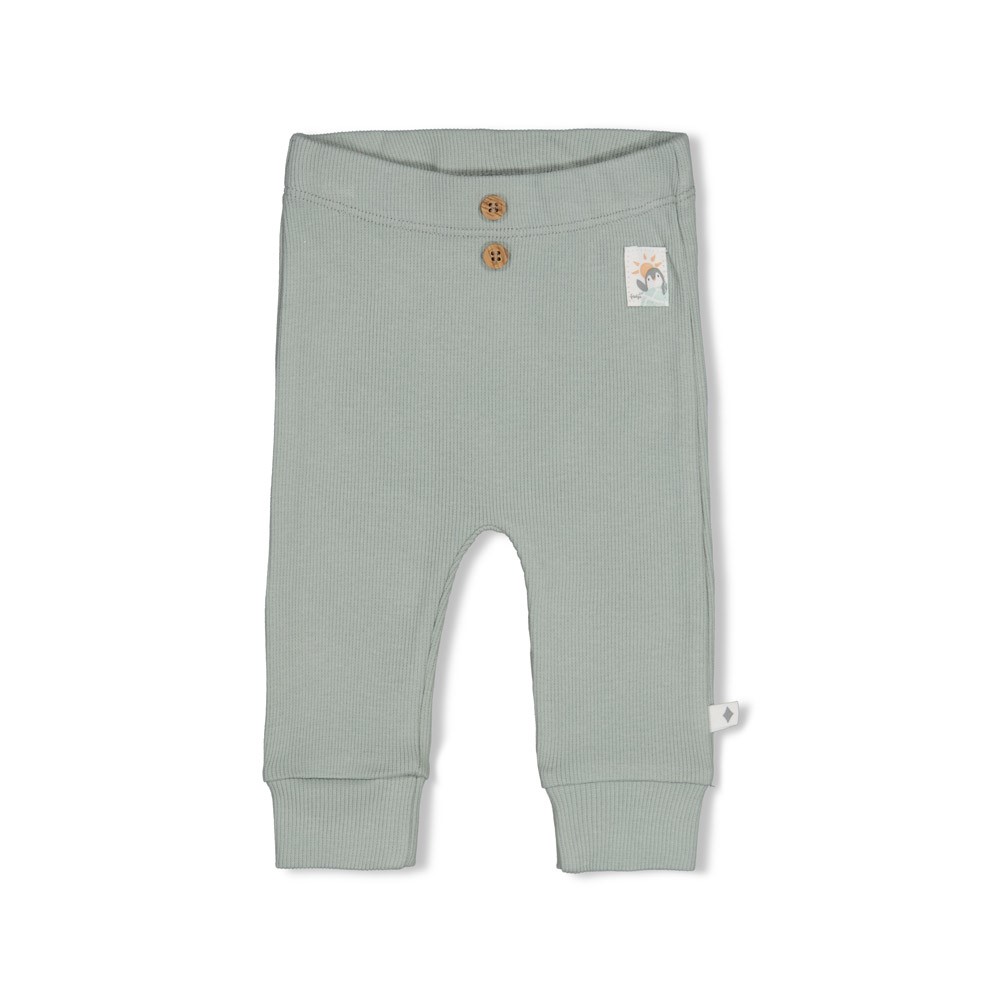 Feetje | Broek Uni Penguin Cuddles Zeegroen