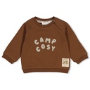 Feetje | Sweater Boys Tiny Timber Tales Bruin