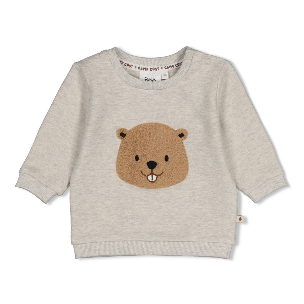 Feetje | Sweater Boys Tiny Timber Tales Grijs Melange