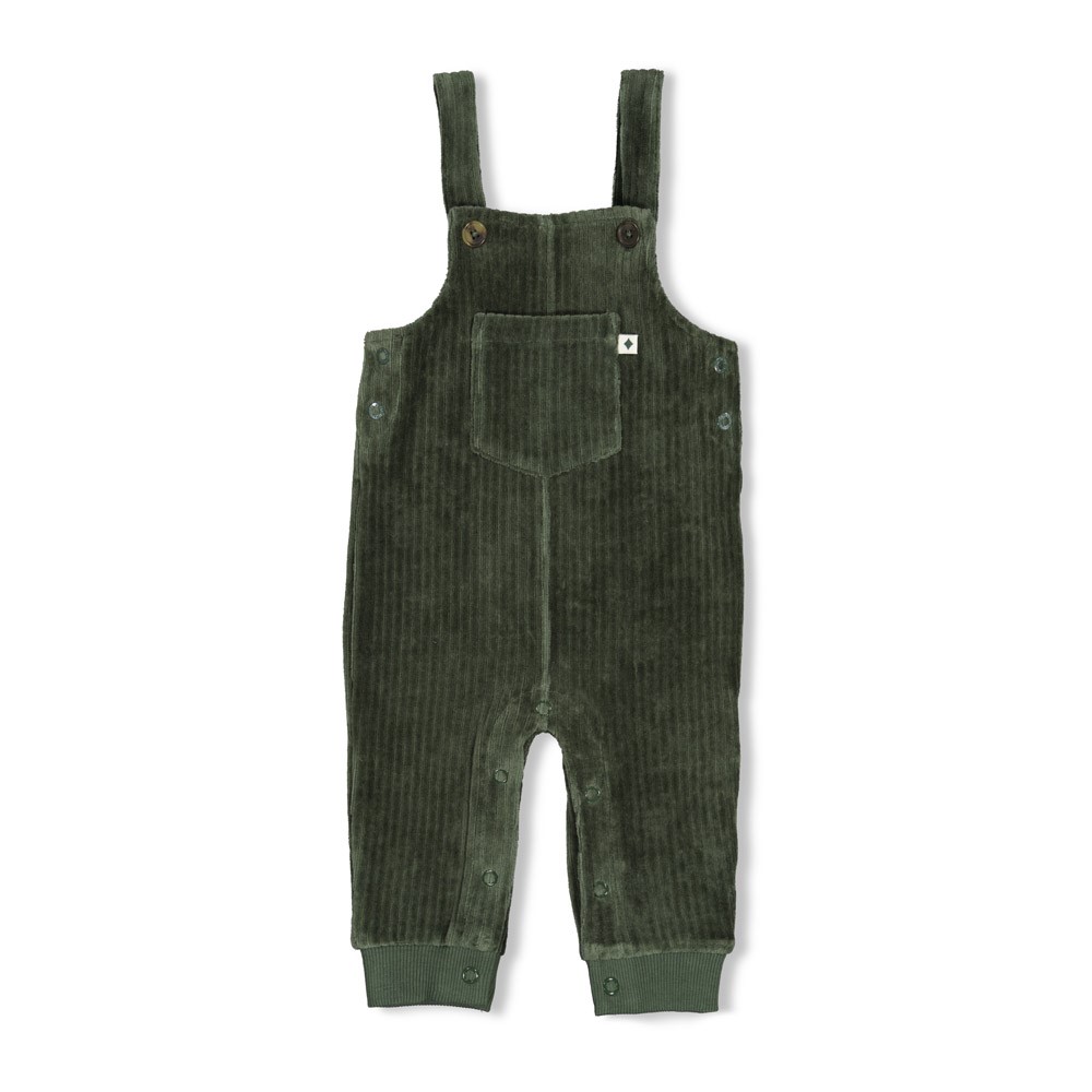 Feetje | Salopette Boys Wiggle and Waddle Groen