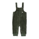 Feetje | Salopette Boys Wiggle and Waddle Groen
