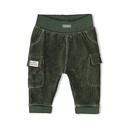 Feetje | Broek Boys Wiggle and Waddle Groen