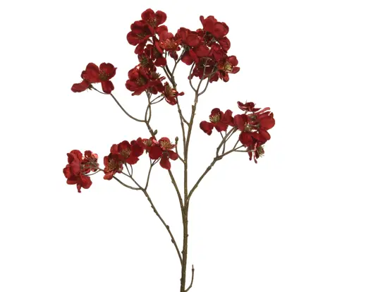 Decoris | Sierbloem Fluweel Rood 26x10x78cm
