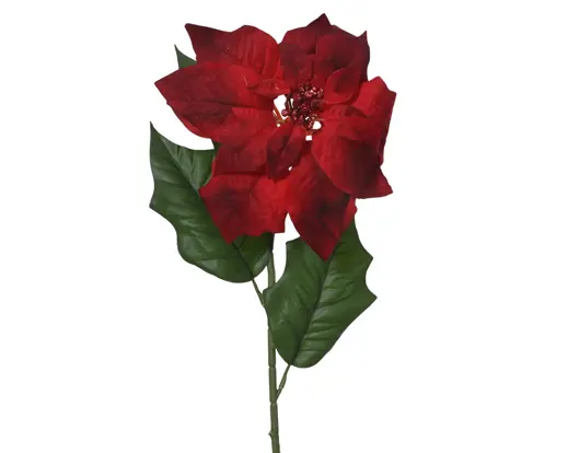 Decoris | Sierbloem Poinsetta Fluweel Rood 22x23x67cm