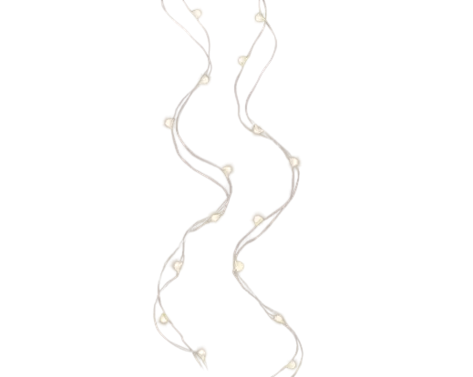 Lumineo | Verlichting Micro Led Stringlights Warm Wit 95cm