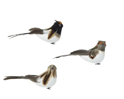 Decoris | Beeld Vogel op Clip Foam 5x13x6cm Assortiment 