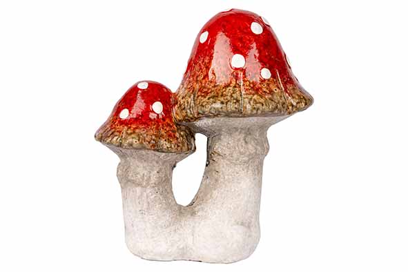 Cosy & Trendy | Beeld Paddenstoelen H14cm