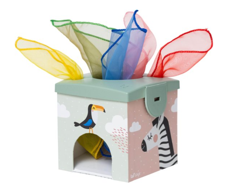 Taf Toys | Educatief Speelgoed Magic Box