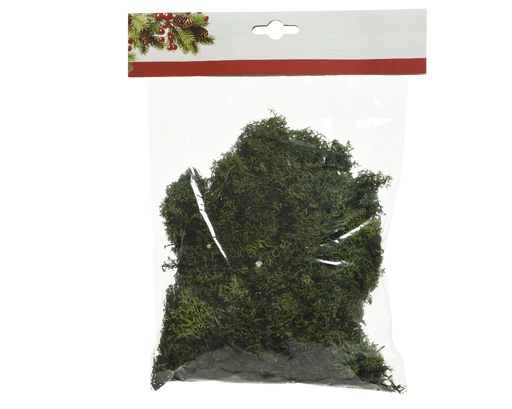 [367912] Kaemingk | Decoratie Tillandsia Mos Groen 100g