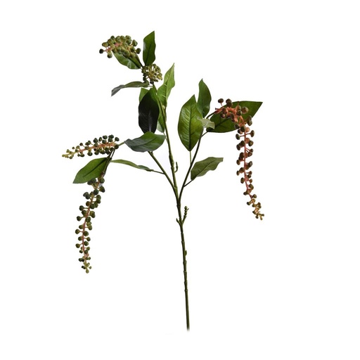 [521467] Jasaco | Siertak Phytolacca Americana Green 74cm