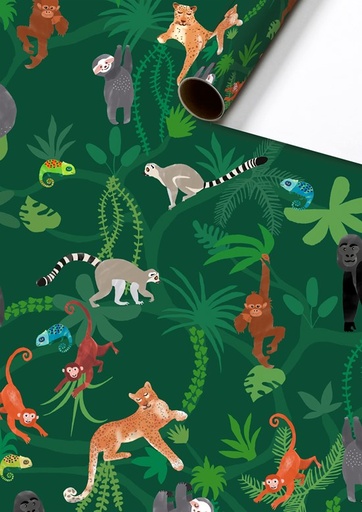 [538826] Stewo | Geschenkpapier Rol Lauro Groen 70x200cm