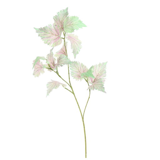 [547300] Jasaco | Sierbloem Stinging Nettle Green Pink 75cm