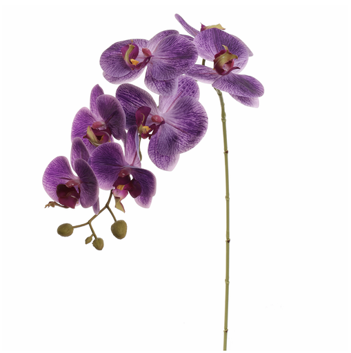 [547310] Jasaco | Sierbloem Phalaenopsis Purple 85cm 