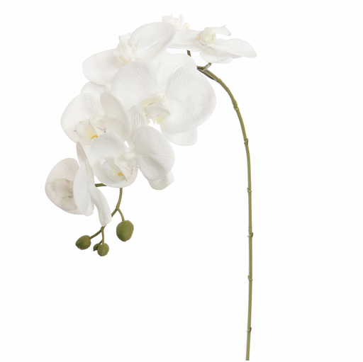 [547311] Jasaco | Sierbloem Phalaenopsis White 85cm 