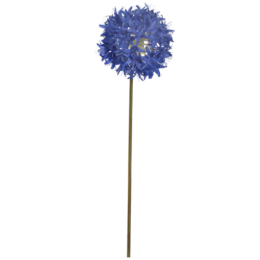 [547312] Jasaco | Sierbloem Allium Ball Blue 70cm 