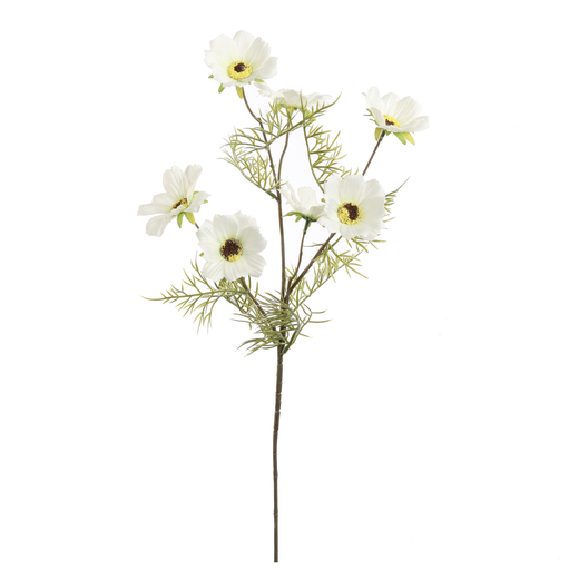 [547317] Jasaco | Sierbloem Cosmos Spray Cream 75cm 
