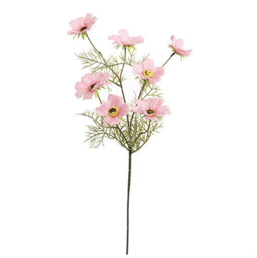 [547318] Jasaco |  COSMOS SPRAY 75CM PINK