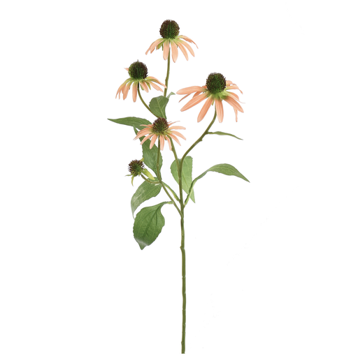 [547319] Jasaco | Sierbloem Rudbeckia Spray Peach 75cm
