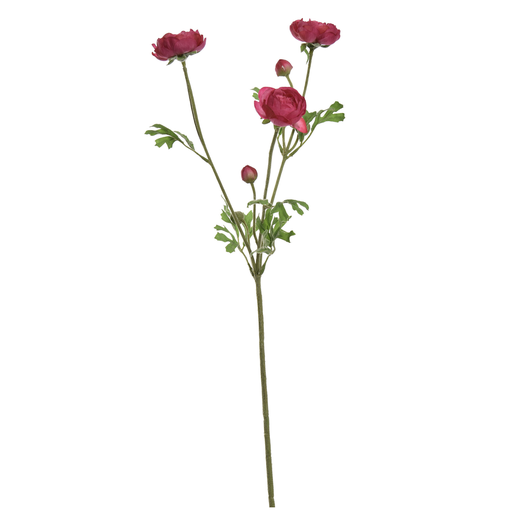 [547320] Jasaco | Sierbloem Ranunculus Spray x3 Beauty 66cm